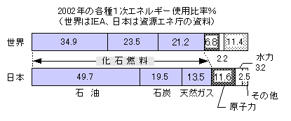 2002年の各種１次エネルギー使用比率％